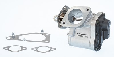 Borgwarner (wahler) AGR-Ventil [Hersteller-Nr. 710938D/1] für Renault, Suzuki von BorgWarner (Wahler)