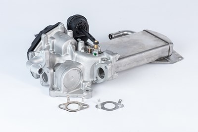 Borgwarner (wahler) AGR-Ventil [Hersteller-Nr. 710946R] für VW von BorgWarner (Wahler)