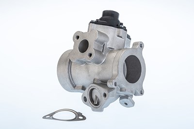 Borgwarner (wahler) AGR-Ventil [Hersteller-Nr. 710974R] für Nissan, Opel, Renault, Toyota, Vauxhall von BorgWarner (Wahler)