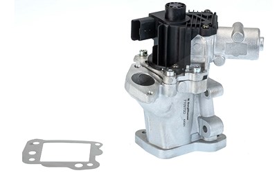 Borgwarner (wahler) AGR-Ventil [Hersteller-Nr. 710975D/1] für Citroën, Fiat, Ford, Lancia, Land Rover, Mitsubishi, Nissan, Peugeot von BorgWarner (Wahler)