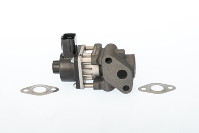 Borgwarner (wahler) AGR-Ventil [Hersteller-Nr. 711024D/1] für Fiat, Suzuki von BorgWarner (Wahler)