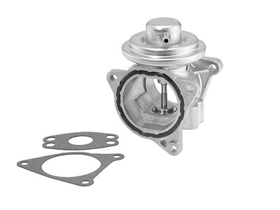 Borgwarner (wahler) AGR-Ventil [Hersteller-Nr. 7496D/1] für Audi, Chrysler, Dodge, Jeep, Mitsubishi, Seat, Skoda, VW von BorgWarner (Wahler)