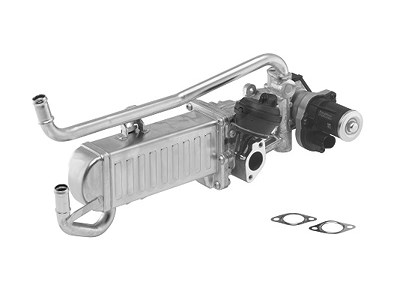Borgwarner AGR-Modul [Hersteller-Nr. 710862D] für Audi, Seat, Skoda, VW von BorgWarner