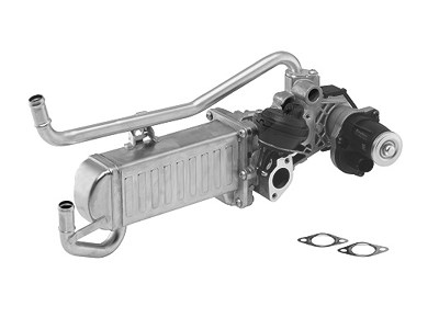 Borgwarner AGR-Modul [Hersteller-Nr. 710863D] für Seat, Skoda, VW von BorgWarner