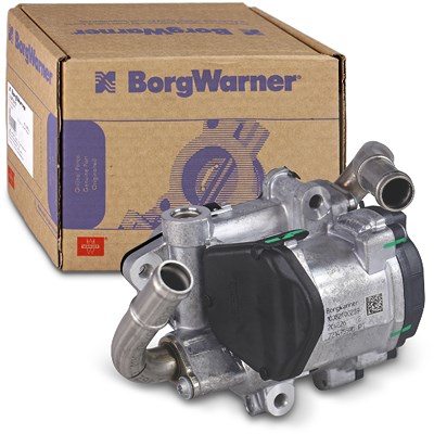 Borgwarner AGR-Ventil [Hersteller-Nr. 72147559D] für Audi, Seat, Skoda, VW von BorgWarner