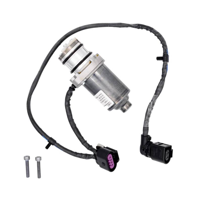 OEM 0404029 22765779 Differential-Ölpumpe GM von BorgWarner