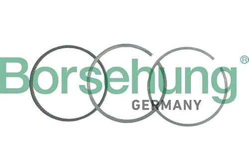 Borsehung B19040 - Kolbenringsatz von Borsehung