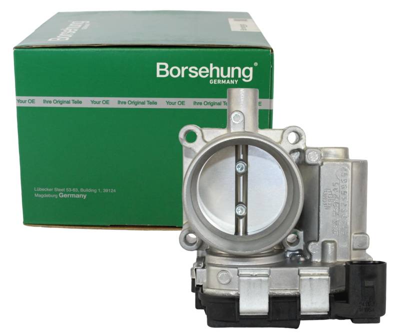 Drosselklappe von Borsehung (B19289) Stutzen Luftversorgung Drosselklappeneinheit, Drosselklappeneinheit, Drosselklappenmodul von SAFE