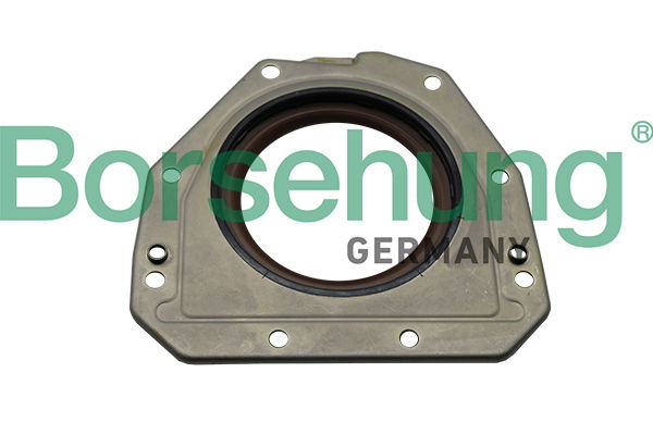 Wellendichtring, Kurbelwelle stirnseitig Borsehung B19208 von Borsehung