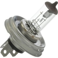 BOSCH Glühlampe, Fernscheinwerfer Pure Light WS R2 (Bilux) 1 987 302 021  VW,FORD,RENAULT,LT 28-46 II Kastenwagen (2DA, 2DD, 2DH) von Bosch