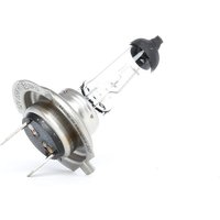 BOSCH Glühlampe, Fernscheinwerfer Pure Light WS H7 1 987 302 071  VW,AUDI,MERCEDES-BENZ,Golf IV Schrägheck (1J1),Golf V Schrägheck (1K1),POLO (9N_) von Bosch