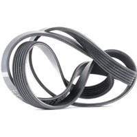 BOSCH Keilrippenriemen 1 987 946 029 Rippenriemen OPEL,BMW,RENAULT,ZAFIRA B (A05),Astra H Schrägheck (A04),Astra H Caravan (A04),Astra H GTC (A04) BOSCH Keilrippenriemen 1 987 946 029 Rippenriemen OPEL,BMW,RENAULT,ZAFIRA B (A05),Astra H Schrägheck (A04),Astra H Caravan (A04),Astra H GTC (A04) von Bosch