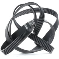 BOSCH Keilrippenriemen 1 987 947 832 Rippenriemen MERCEDES-BENZ,OPEL,FORD,190 (W201),Stufenheck (W124),W124 Coupe (C124),W124 T-modell (S124) von Bosch