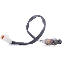 BOSCH Lambdasonde F 00H L00 354 Regelsonde,Lambda Sensor FORD,MAZDA,Fiesta Mk6 Schrägheck (JA8, JR8),Fiesta Mk5 Schrägheck (JH1, JD1, JH3, JD3) BOSCH Lambdasonde F 00H L00 354 Regelsonde,Lambda Sensor FORD,MAZDA,Fiesta Mk6 Schrägheck (JA8, JR8),Fiesta Mk5 Schrägheck (JH1, JD1, JH3, JD3) von Bosch