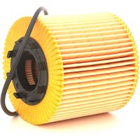 BOSCH Ölfilter Filtereinsatz 1 457 429 198 Motorölfilter,Filter für Öl OPEL,RENAULT,NISSAN,Vivaro A Kastenwagen (X83),Vivaro A Combi (X83) BOSCH Ölfilter Filtereinsatz 1 457 429 198 Motorölfilter,Filter für Öl OPEL,RENAULT,NISSAN,Vivaro A Kastenwagen (X83),Vivaro A Combi (X83) von Bosch
