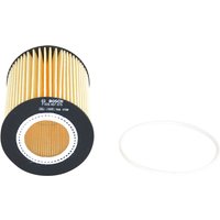 BOSCH Ölfilter Filtereinsatz F 026 407 075 Motorölfilter,Filter für Öl VOLVO,LAND ROVER,XC60 (156),XC90 I (275),V70 III (135),V60 (155, 157) BOSCH Ölfilter Filtereinsatz F 026 407 075 Motorölfilter,Filter für Öl VOLVO,LAND ROVER,XC60 (156),XC90 I (275),V70 III (135),V60 (155, 157) von Bosch