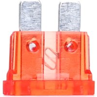 BOSCH Sicherung 1 904 529 905 BOSCH Sicherung 1 904 529 905 von Bosch