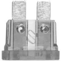 BOSCH Sicherung 1 904 529 908 BOSCH Sicherung 1 904 529 908 von Bosch