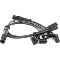 BOSCH Zündkabelsatz 0 986 357 816 Zündleitungssatz FIAT,LANCIA,PANDA (169),PUNTO (188),Doblo Cargo (223_),Seicento / 600 Schrägheck (187_) BOSCH Zündkabelsatz 0 986 357 816 Zündleitungssatz FIAT,LANCIA,PANDA (169),PUNTO (188),Doblo Cargo (223_),Seicento / 600 Schrägheck (187_) von Bosch