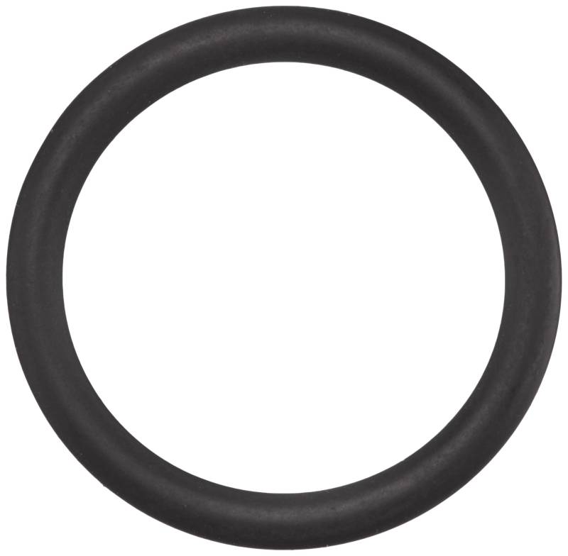Bosch Automotive Automotive 1 928 300 276 Dichtring, Einspritzventil von Bosch Automotive