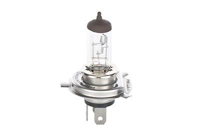 Bosch Glühlampe [Hersteller-Nr. 1987302441] von Bosch