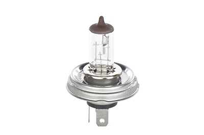 Bosch Glühlampe [Hersteller-Nr. 1987301021] für Alfa Romeo, Austin, Citroën, Daihatsu, Fiat, Lada, Peugeot, Renault, Renault Trucks, Suzuki, Toyota von Bosch