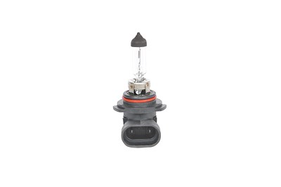 Bosch Glühlampe [Hersteller-Nr. 1987301063] für Alpina, BMW, Cadillac, Chevrolet, Chrysler, Daihatsu, Dodge, Ford, Honda, Hyundai, Infiniti, Jaguar, J von Bosch