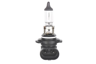 Bosch Glühlampe [Hersteller-Nr. 1987302083] für Chevrolet, Chrysler, Dodge, Ford, Jeep, Opel, Saab, Toyota, Vauxhall, VW von Bosch