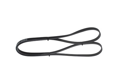 Bosch Keilrippenriemen [Hersteller-Nr. 1987947907] für Ford von Bosch