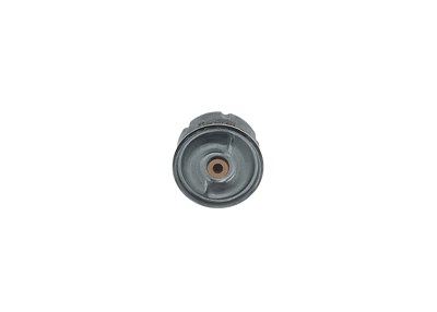 Bosch Ölfilter [Hersteller-Nr. F026407099] für Ford, Land Rover von Bosch