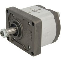 Hydraulische Zahnradpumpe BOSCH REXROTH 0 510 425 309 Hydraulische Zahnradpumpe BOSCH REXROTH 0 510 425 309 von Bosch