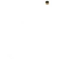 Kugelführung, Injektor Common-Rail BOSCH F 00V C21 001, 10 Stück Kugelführung, Injektor Common-Rail BOSCH F 00V C21 001, 10 Stück von Bosch