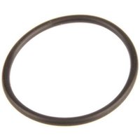 O-Ring, Common Rail Pumpe BOSCH F 00R 0P0 166 von Bosch