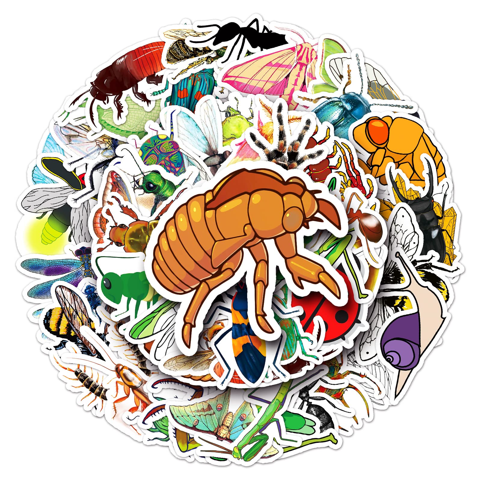 50 Stück Insekten Aufkleber Wasserflaschen Laptop Telefon Gitarre Skateboard Computer Koffer Fahrrad Insects Bug Vinyl Stickers Wasserdicht Ästhetisch Aufkleber für Jugendliche Kinder Erwachsene 50 Stück Insekten Aufkleber Wasserflaschen Laptop Telefon Gitarre Skateboard Computer Koffer Fahrrad Insects Bug Vinyl Stickers Wasserdicht Ästhetisch Aufkleber für Jugendliche Kinder Erwachsene von Bric Dodo