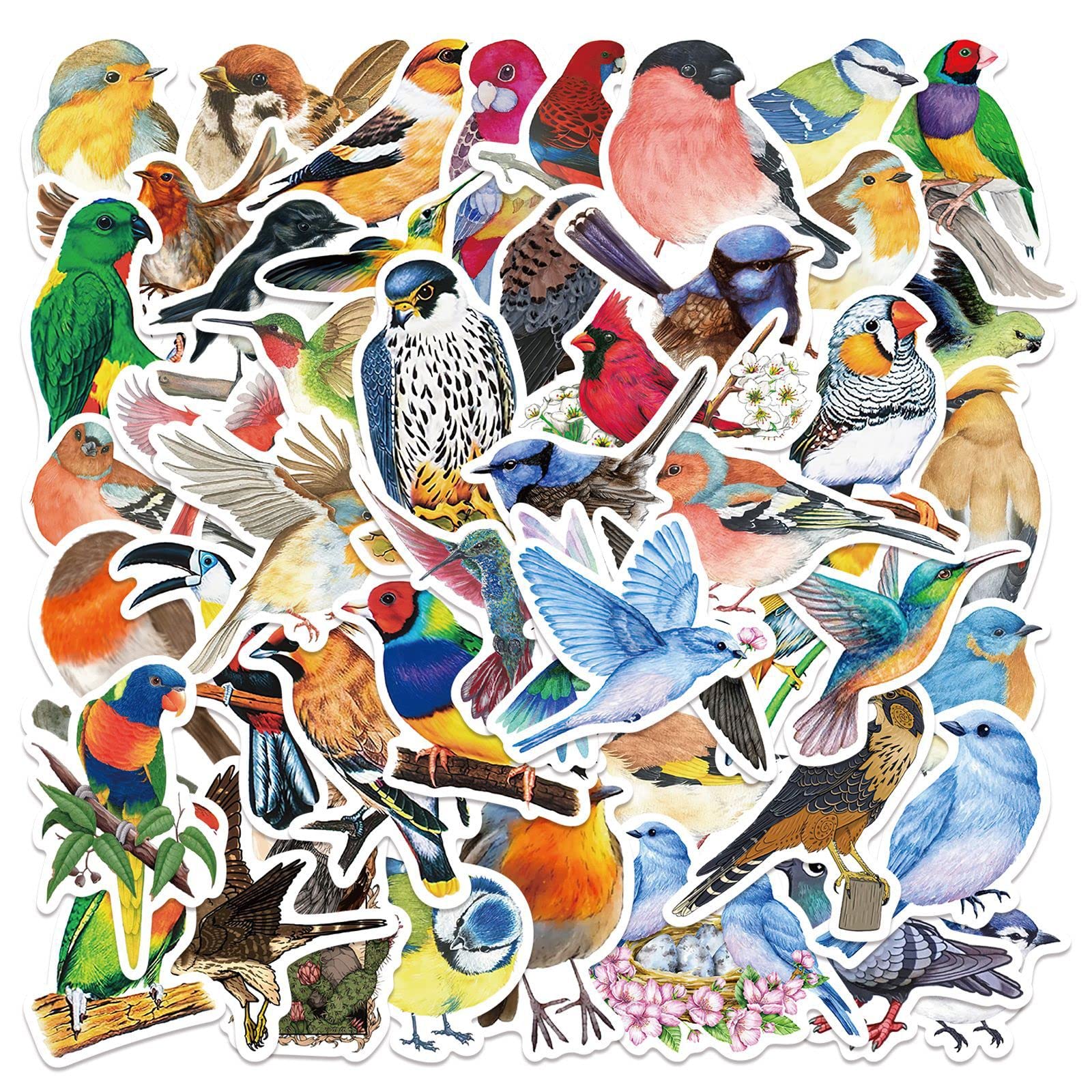 Bric Dodo 50 Stück Watercolor Bird Aufkleber Wasserflaschen Laptop Telefon Gitarre Skateboard Computer Kleine Vögel Vinyl Stickers Wasserdicht Ästhetisch Aufkleber für Jugendliche Kinder Erwachsene Bric Dodo 50 Stück Watercolor Bird Aufkleber Wasserflaschen Laptop Telefon Gitarre Skateboard Computer Kleine Vögel Vinyl Stickers Wasserdicht Ästhetisch Aufkleber für Jugendliche Kinder Erwachsene von Bric Dodo