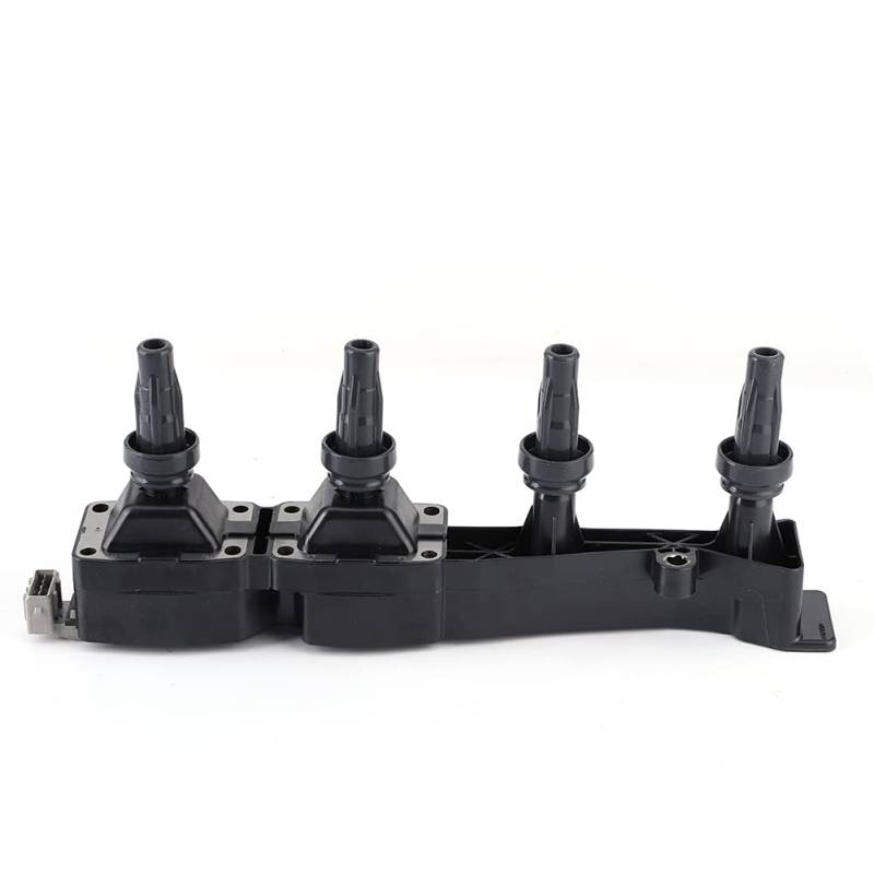 Brilluxa Zündspule Pack Motors pulen modul Kompatibel mit 206 307 597080 597099 Zündspule Ersatz gerät von Brilluxa