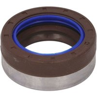 Hinterachsdichtung BTA B05-AG-364 von Bta