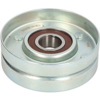 Spannrolle, Keilrippenriemen BTA B05-AG-207 von Bta