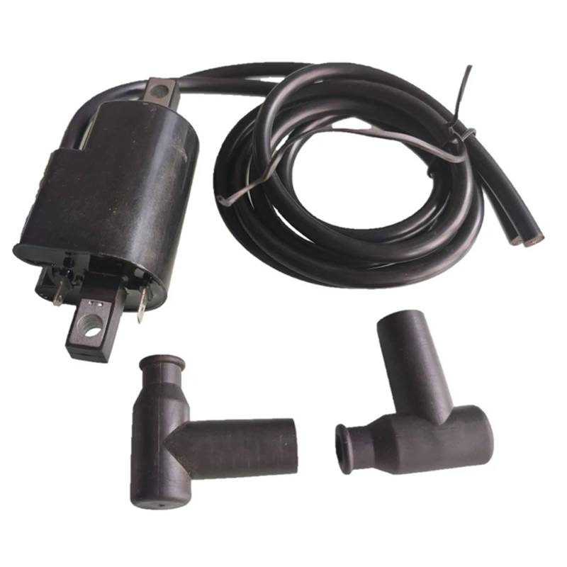 Metall-Zündspule für XP 787 278000383 278001130 278001254 reibungsloser Motorbetrieb im Wassersport von Btgghytr
