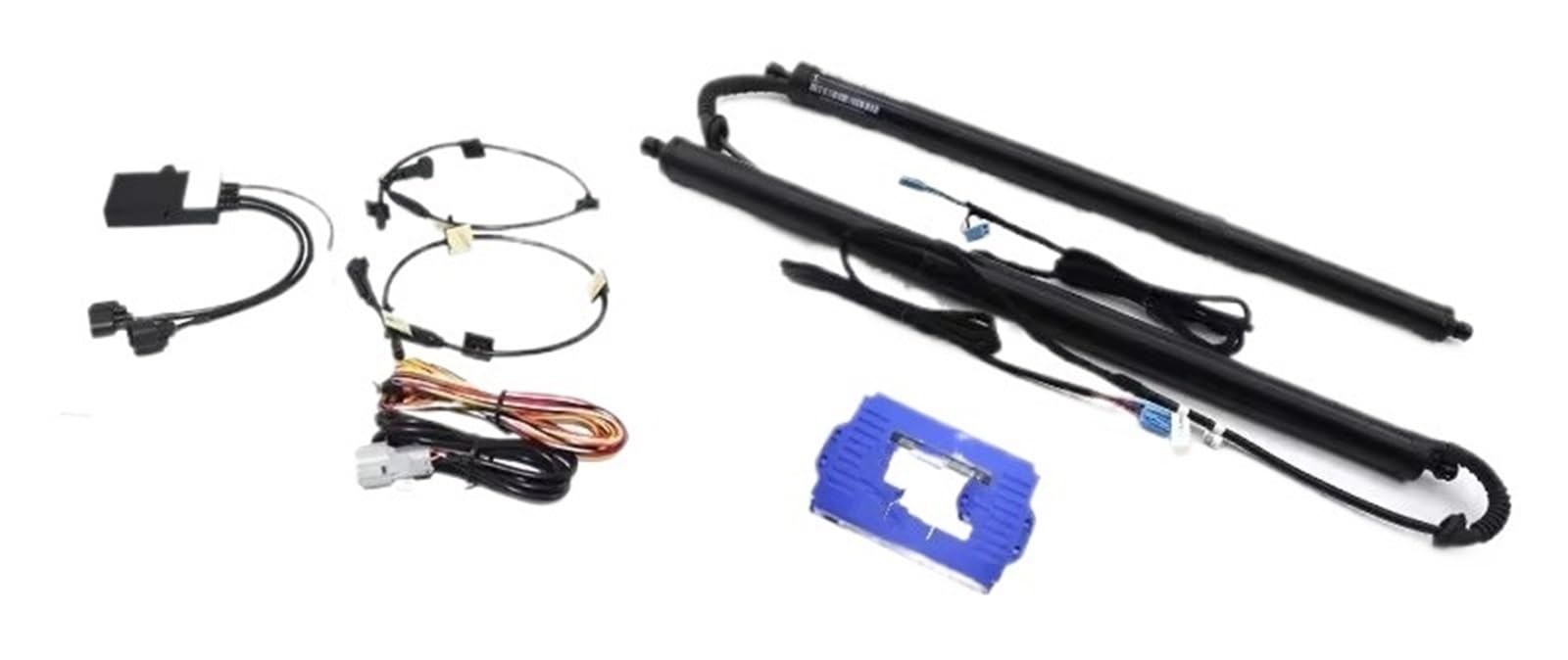 Heckklappenschloss Kofferraum Für Toyota Für Crown S220 2018-2022 2019 2020 2021 Automatisches Heben Elektrisches Heckklappenschlossmodul Schließen Elektrisches Heckklappenschloss Heckklappenschloss(W Heckklappenschloss Kofferraum Für Toyota Für Crown S220 2018-2022 2019 2020 2021 Automatisches Heben Elektrisches Heckklappenschlossmodul Schließen Elektrisches Heckklappenschloss Heckklappenschloss(W von Btnuahq