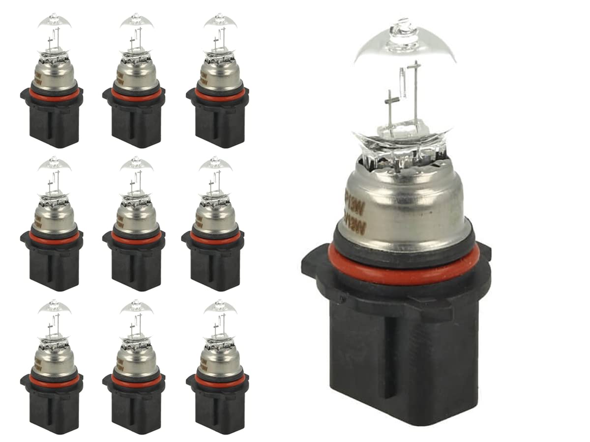 10 Stück Halogenlampen für Auto Spezial (P13W 12V 13W PG18.5d-1) von CARALL