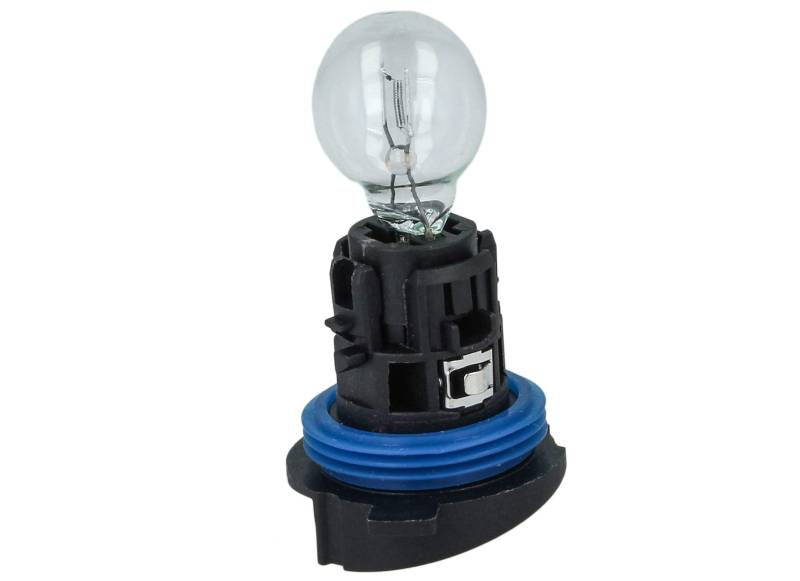 Carall Halogen-Lampe HP24W 12 V 24 W Clear P24W mit Sockel für Tagfahrlicht von CARALL