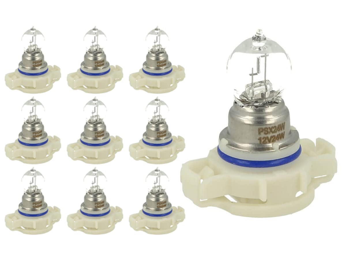 CARALL 10 Stück Halogenlampen 12 V für Auto (PSX24W 12V 24W PG20-7) von CARALL