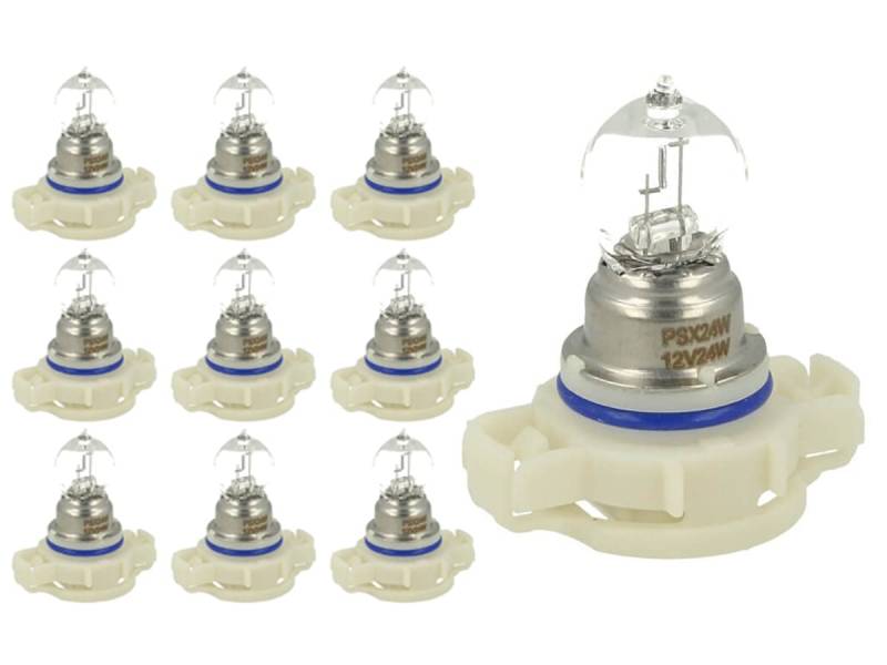 CARALL 10 Stück Halogenlampen 12 V für Auto (PSX24W 12V 24W PG20-7) von CARALL