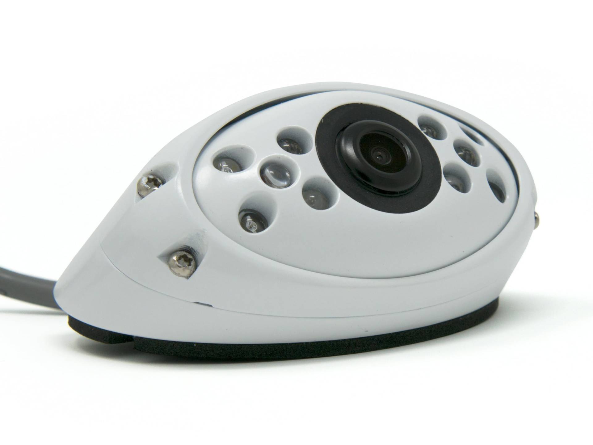 Weiße Rückfahrkamera von CARGUARD Systems mit 700TVL für analoge Monitore, 120°, 9-14V, PAL von CARGUARD SYSTEMS