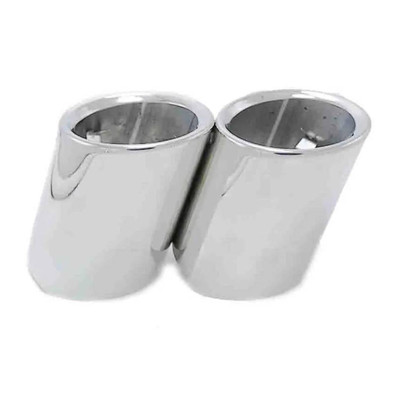 Abgasrohrleitungen 1 Paar Auto Schalldämpfer Spitze Abdeckung Auspuffrohr Für B&MW 5 Series F10 F11 F18 F07 E39 E60 E61 525i 528i 530i 535d 535i Autoschalldämpfer(Silber) von CAVINBDZ