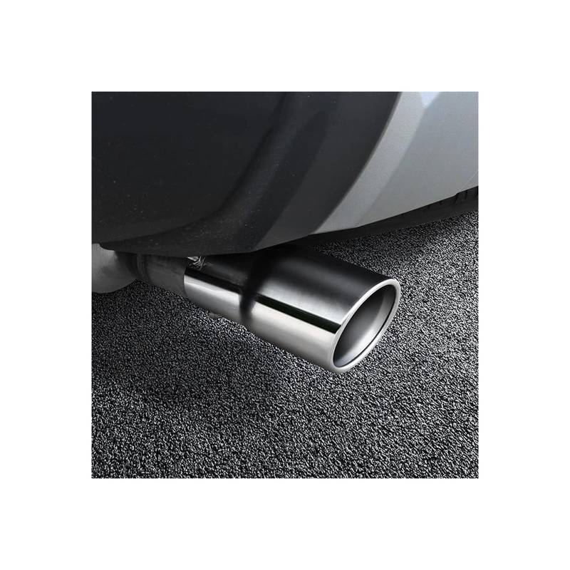 Abgasrohrleitungen Auto Edelstahl-Endrohr Auspuffrohr Für Toyota Für Land Cruiser 250 Für Prado Lc250 2024 2025 Autoschalldämpfer(Silber) von CAVINBDZ