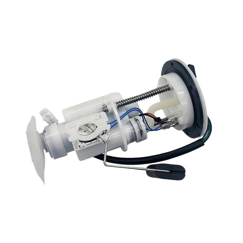 Kraftstoffpumpe kompatibel mit HisunHS500 700ATV StelsATV-500 700H EFI 16521-058C-0000 39590-107F-0000 P107F00395000000 LN001364 Quad Go Kart Kraftstoffpumpe kompatibel mit HisunHS500 700ATV StelsATV-500 700H EFI 16521-058C-0000 39590-107F-0000 P107F00395000000 LN001364 Quad Go Kart von CEESuEB