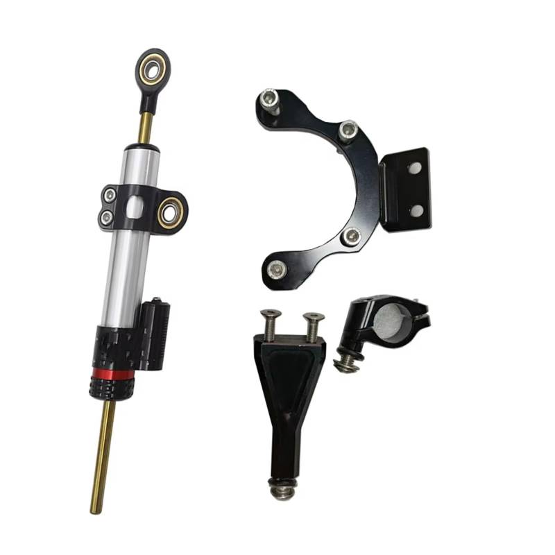 CFAYRLMS Lenkungsdämpfer Einstellbarer Für Z 900 Für Z900 2021-2023 Motorrad Stabilisator Lenkung Dämpfer Montage Universal Halterung Lenker Kit(Silver1) von CFAYRLMS