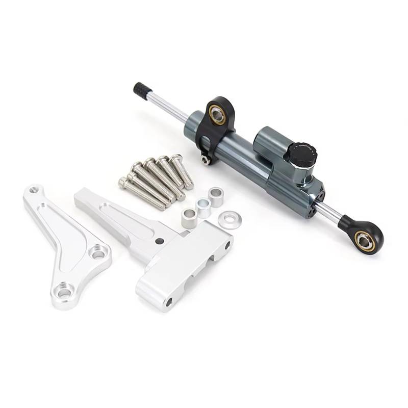 CFAYRLMS Lenkungsdämpfer Einstellbarer Kompatibel Mit Street Für Triple Für 765R Für 765RS Für 765 R RS Motorrad Lenkung Stabilisieren Dämpfer Halterung Mount Kit(Silver-Gray) von CFAYRLMS
